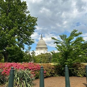 Meet your Posher, Lily